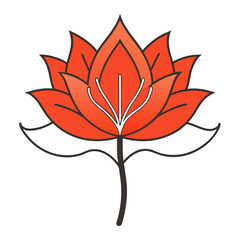 vector illustration of a indian coral tree flower 