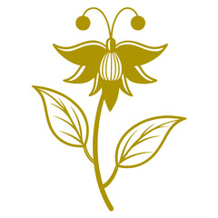 white and yellow flowers