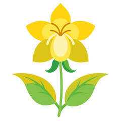 yellow archangel flower on white background