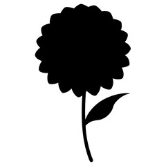 black and white flower