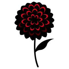 zinnia flower silhouette on white background