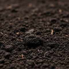 Fototapeta premium Close-up of Rich, Dark Soil Texture for Gardening and Agriculture.
