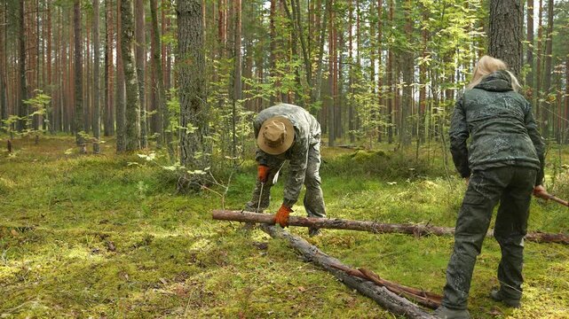 Tourists are gathering firewood for a campfire. The man is sawing the trunk of a dead tree with a saw. The woman is stacking firewood for the campfire. The travelers are collecting firewood for the