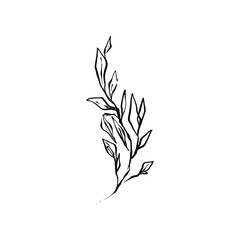 Hand drawn floral compositions in line art style. Elegant frame of flowers, stems and leaves. Trendy botanical elements. Vector illustration for logo or tattoo, save the date card, wedding invitation