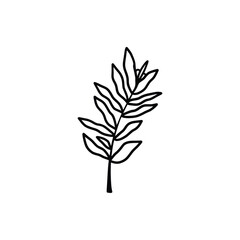 Hand drawn tattoo nature floral flowers, branches and leaves in line art style. Collection of sketches of botanical elements