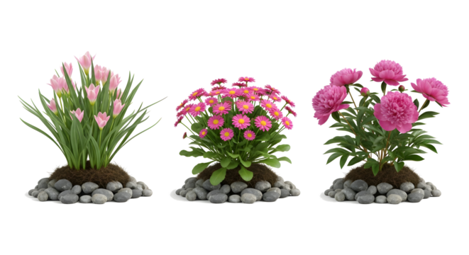 PNG 3D Render of Pink Flower Bushes on Pebbles and Soil. on transparent background - Powered by Adobe