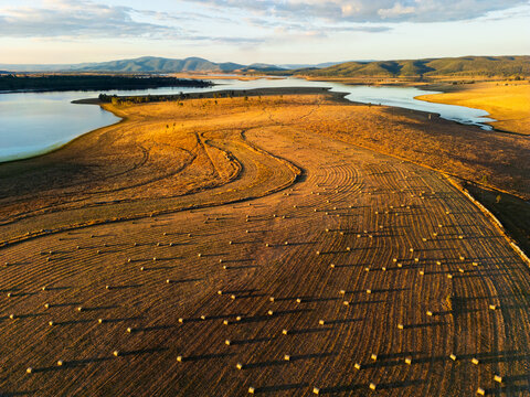 Hay bales dotted in a paddock with Lake Wivenhoe in the background