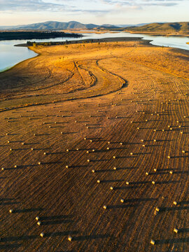 Hay bales dotted in a paddock with Lake Wivenhoe in the background