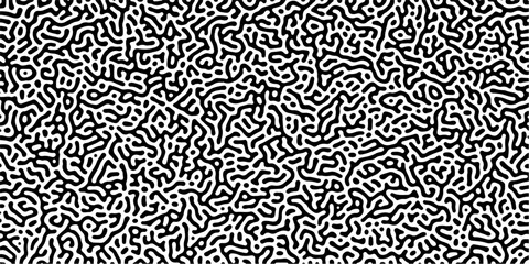 Fototapeta premium Diffusion reaction seamless vector pattern. Natural seamless line pattern. Linear design with biological shapes. Reaction-diffusion or truing pattern formation. abstract truing organic wallpaper. 