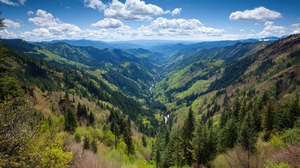 Fototapeta premium Lush Green Valley Surrounded by Majestic Mountains Under a Bright Blue Sky with Fluffy White Clouds