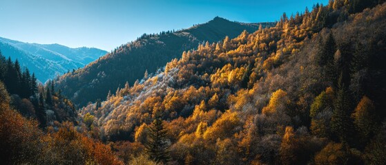 Autumn forest mountain landscape scenery