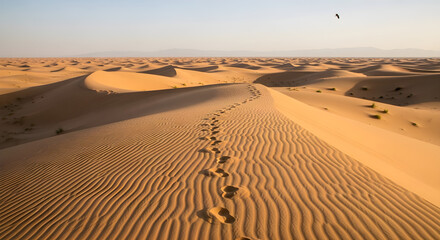 Golden Sand Dunes Under A Clear Blue Sky With Footprints Leading Towards The Horizon