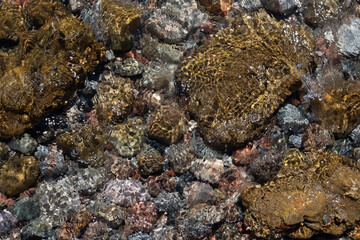clear water flowing over colorful textured stones on bottom near the shore in sea background	