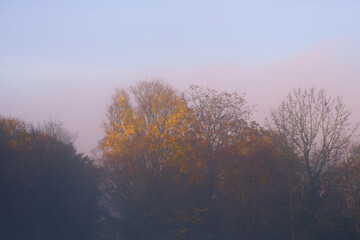 Misty autumn morning landscape with colorful trees glowing through the fog