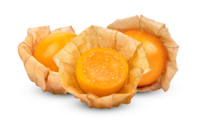 cape gooseberry on transparent png ( image from camera )