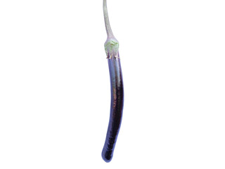 Slender eggplant isolated on transparent background