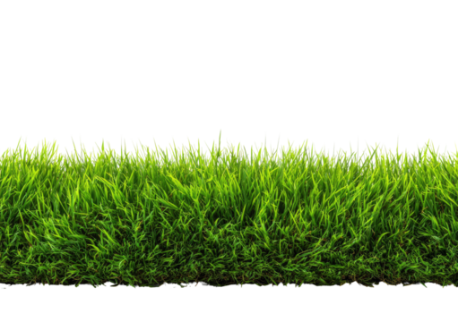 Lush green grass border against black (1)