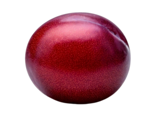  Whole Tropical Hog Plum with Glossy Surface and Natural Highlights – High-End Realistic Transparent PNG for Product Branding