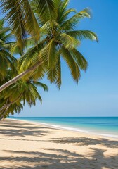 Tropical Beach Paradise.