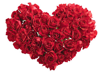 Red roses arranged in a heart shape (6)