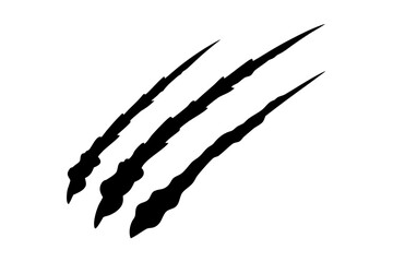 Animal claw marks silhouette vector, Claw scratches illustration. Tiger,  bear, lion scratches sign