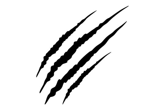 Animal claw marks silhouette vector, Claw scratches illustration. Tiger,  bear, lion scratches sign