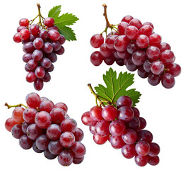 Fresh Red Grape Clusters – Botanical Illustration for Culinary Design, Food Packaging, and Healthy Lifestyle Presentations