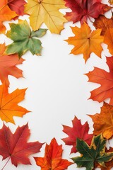 Fototapeta premium Maple leaves convey the autumnal mood of vibrant colors. Perfect for seasonal designs.