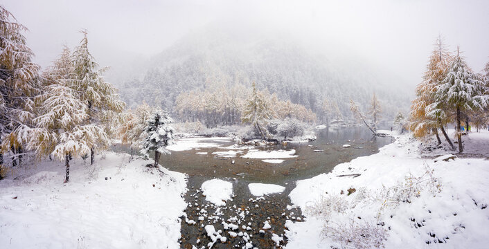The Snow are falling in the autumn forest at bipenggou scenic area in Chengdu, Chaina