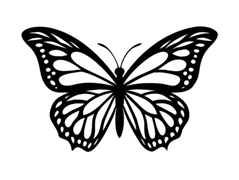 Abstract modern seamless pattern of monarch butterfly contours on white background for decoration design. Closeup design element black butterfly. Side view vector icon