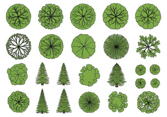 Collection of various green trees seen from above