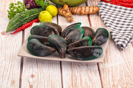 Raw fresh green wild mussels seafood