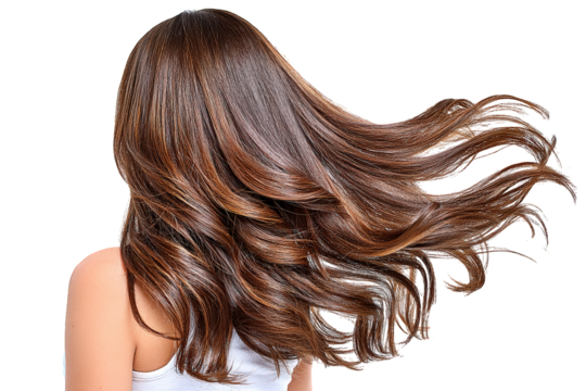 Flowing Wavy Brunette Hair Styled Back View of Woman Beauty. Ai Generated Images
