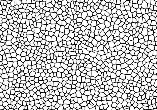 Abstract geometric pattern with irregular polygons creating a mosaic-like texture on a white background.