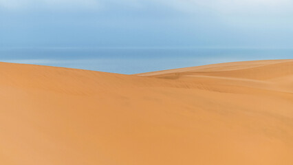 Le Désert Du Namib rencontre l'Océan Atlantique en Namibie