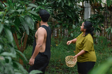 The wife smiles warmly at her husband while he examines mango fruits hanging on the tree branches in their green orchard after rain.