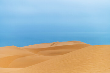 Le Désert Du Namib rencontre l'Océan Atlantique en Namibie