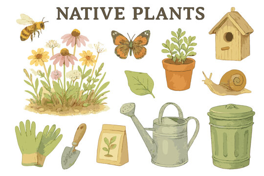 Biodiversity Garden Stickers. Native Plants. Realistic hand-painted watercolor style sticker sheet of native