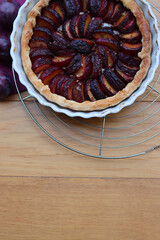 Top view of Traditional cake ort tart with sliced purple plums on a cooling rack on wooden table