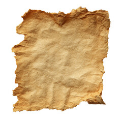 Vertical Aged Burnt Parchment with Rough Charred Edges