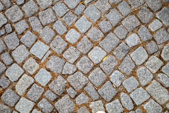 Stone cobblestone design showing square blocks. Small leaves fill cracks for rough background.
