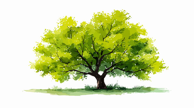 Illustration artistique d'un arbre luxuriant aux feuilles vertes vives et au tronc robuste, évoquant la nature et la croissance.