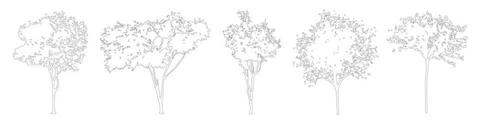 Minimal Architectural Tree Symbols, CAD Line Vector Elements for Design Plans