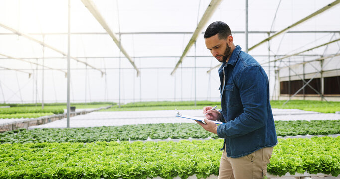 Man, agriculture and greenhouse with clipboard for harvest inspection or food production. Male person, farmer or monitoring natural growth for sustainability, conservation or indoor agro business - Powered by Adobe