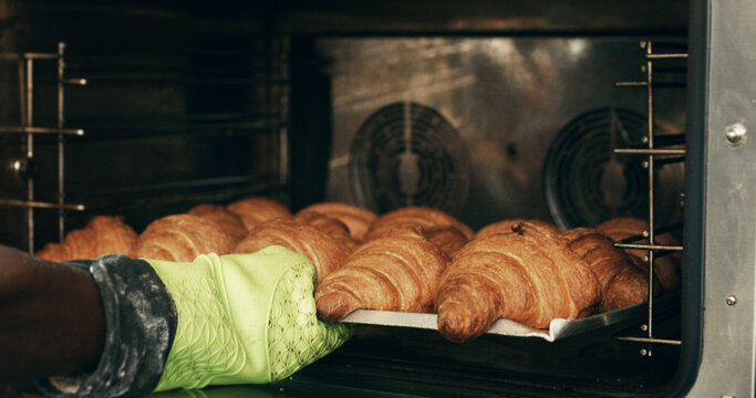 Croissant, hands and oven with baker in kitchen for cooking, culinary process or food production. Health, wheat and baking with person in coffee shop for catering, restaurant and small business owner