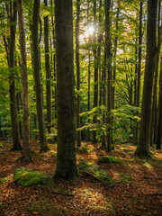 Fototapeta premium miment in peace - Ein Moment in Frieden