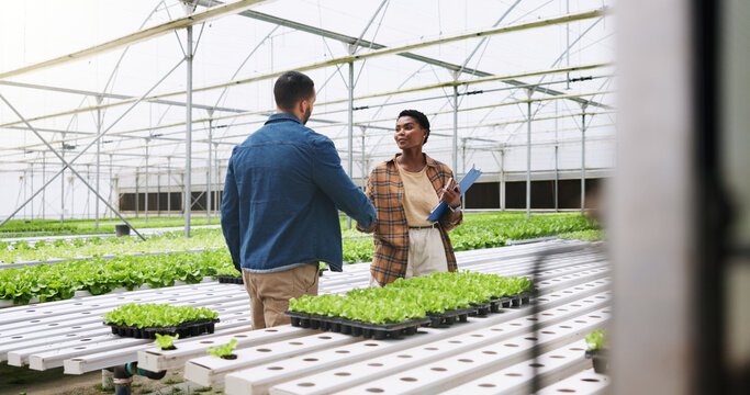 Farm, handshake and people with plants in greenhouse for growth, produce and sustainable business. Agriculture, teamwork and farmer with person shaking hands for organic crops, harvest and vegetables - Powered by Adobe