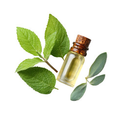 Oil bottle with cork, surrounded by lush green leaves
