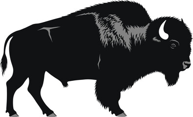 American bison silhouette, wildlife vector, buffalo illustration, prairie animal art, black and white drawing, nature conservation, cad drawing flat vector illustration