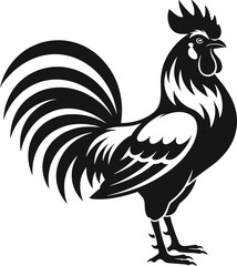 Rooster silhouette, farm animal vector, poultry illustration, bold line art, feather detail, cad drawing flat vector illustration